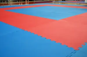 tatami sală